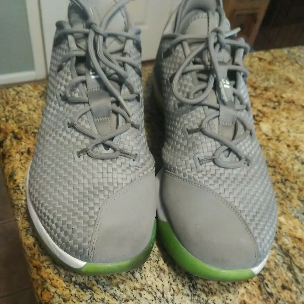 Nike Air Zoom Max LeBron James XIV 14 Low Dunkman Dust Reflect Silver 878636 005
